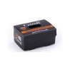 Horquillas clip Carrol caja