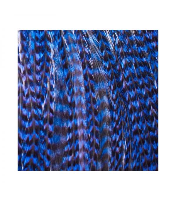 Plumas extensiones estilo Boho. Accesorio para cabello. Color azul eléctrico Talla-M