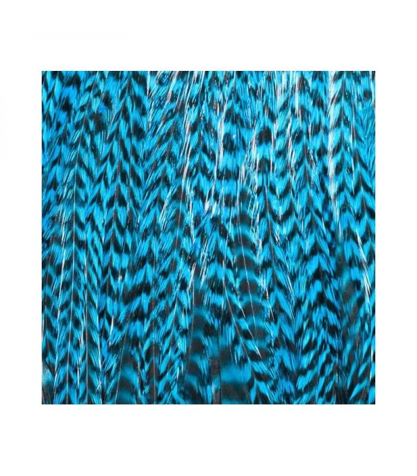 Plumas extensiones azul turquesa Talla-M