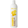 Champu jengibre y limon Blumin