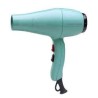 Secador de Pelo Profesional. Alto rendimiento. 2100 w. Gamma Verde Caribe Gammapiu
