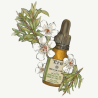 Aceite Esencial de árbol del Té Organic Care Tahe