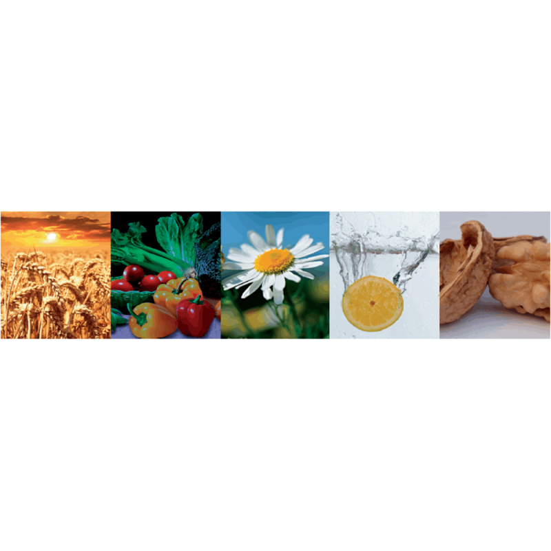 Crema facial alisadora. Especial arrugas. Radiance Vertical Belnatur