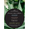 Cannabis Oil Aceite iluminador Oyster. Version Profesional