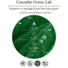 Cannabis Oil Aceite iluminador Oyster. Version Profesional