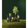 Cannabis Oil Aceite iluminador Oyster. Version Profesional