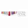 Tinte de pelo permanente. Cobertura máxima Igora Royal | Schwarzkopf