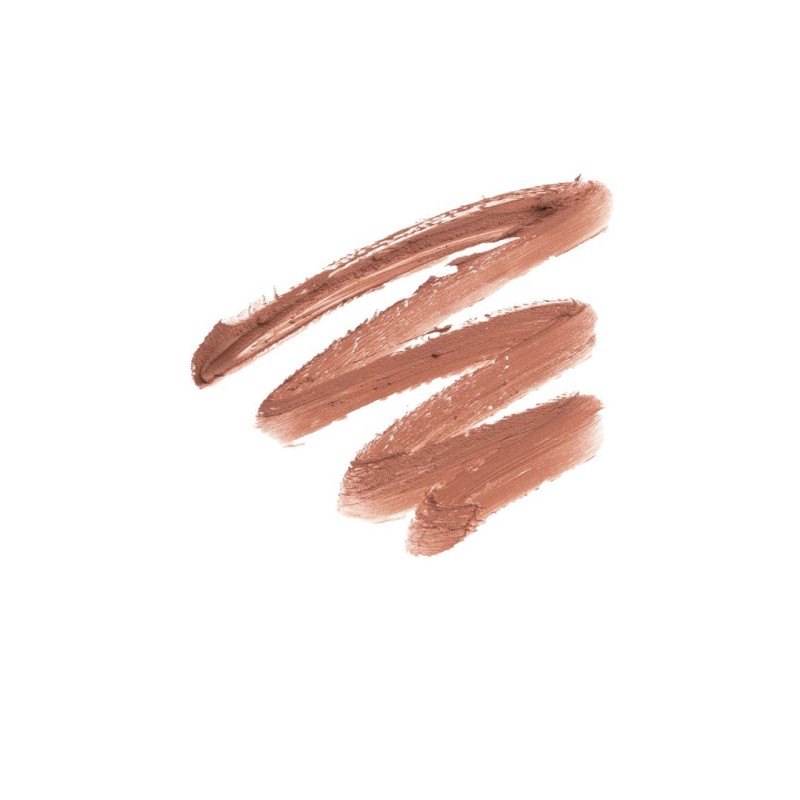 Barra de Labios Mate con Activos Nutritivos Andreia Professional