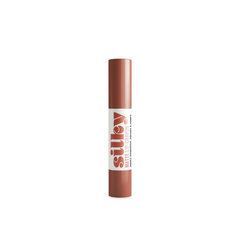 Barra de Labios Mate con Activos Nutritivos Andreia Professional