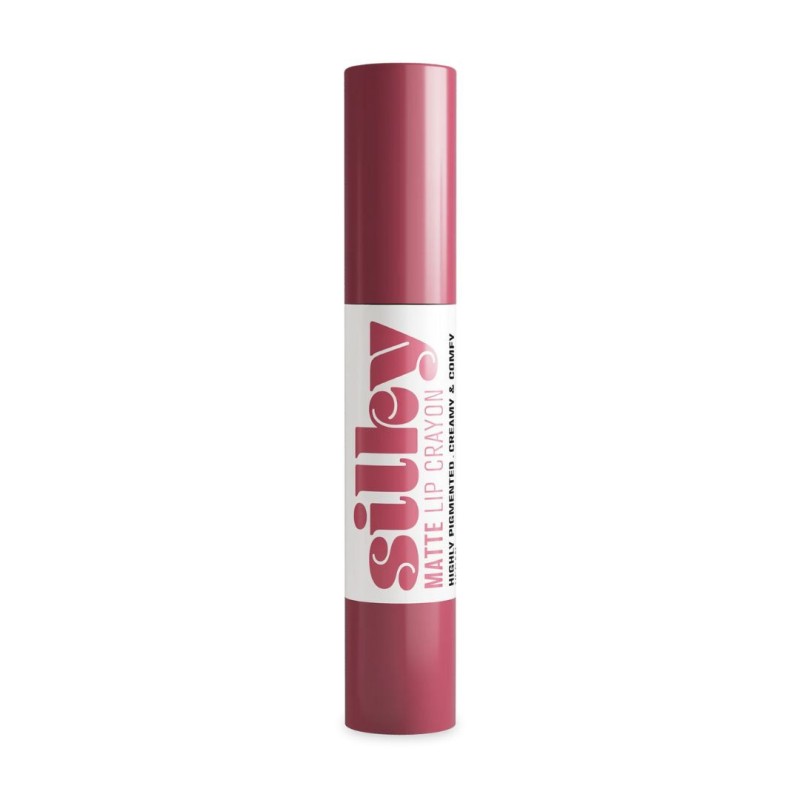 Barra de Labios Mate con Activos Nutritivos Andreia Professional