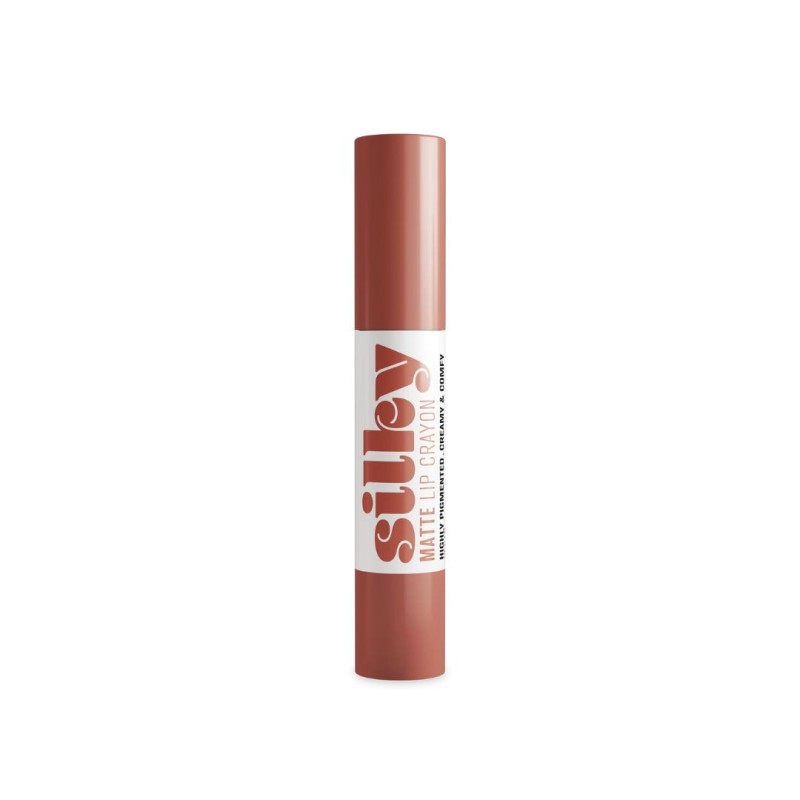 Barra de Labios Mate con Activos Nutritivos Andreia Professional