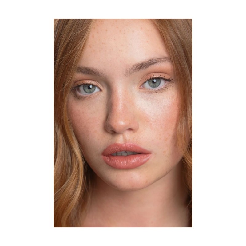 Barra de Labios Mate con Activos Nutritivos Andreia Professional