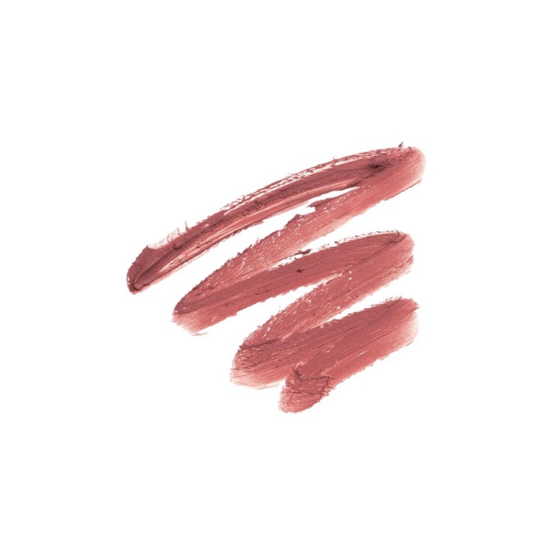 Barra de Labios Mate con Activos Nutritivos Andreia Professional