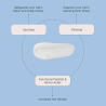 Champú equilibrante para cuero cabelludo y cabello – ROH The Universal Wash