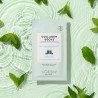 Calcetines de Colágeno con Menta – Hidratación y Frescor Instantáneo
