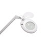 Lámpara lupa LED 5 dioptrías con base y brazo articulado