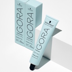 Igora Royal Highlifts Schwarzkopf – Tinte Superaclarante Profesional Rubios Fríos