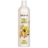 Champú caída cabello. Jengibre y limón 1 l Blumin