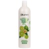 Blumin Champú Hidratante con Provitamina B5 y Bergamota