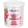 Blumin Mascarilla capilar protectora. Frambuesa y menta 700 ml